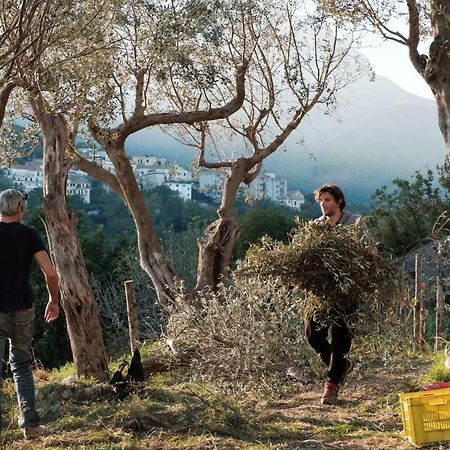 فيلا Ancient Estate "Il Trignano" Vietri المظهر الخارجي الصورة