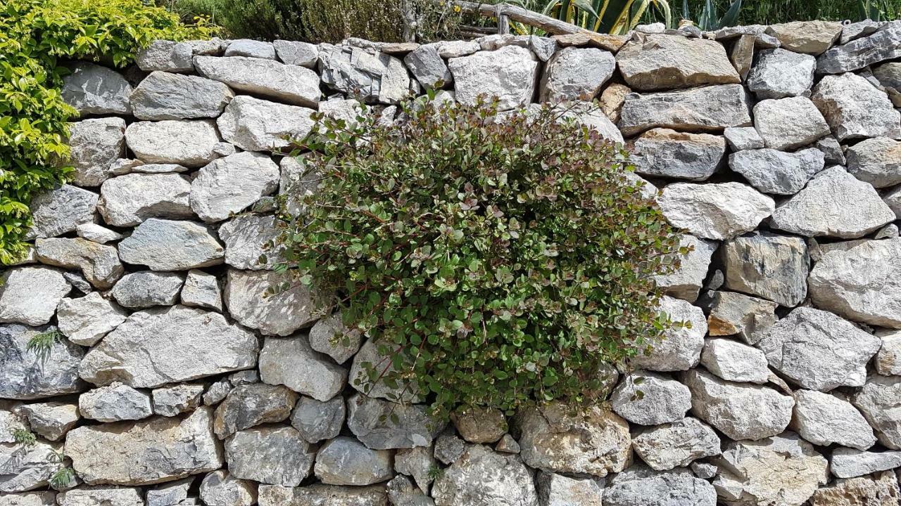 فيلا Ancient Estate "Il Trignano" Vietri المظهر الخارجي الصورة