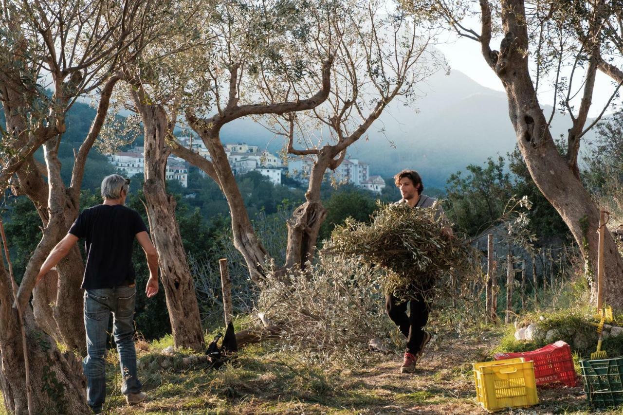 فيلا Ancient Estate "Il Trignano" Vietri المظهر الخارجي الصورة