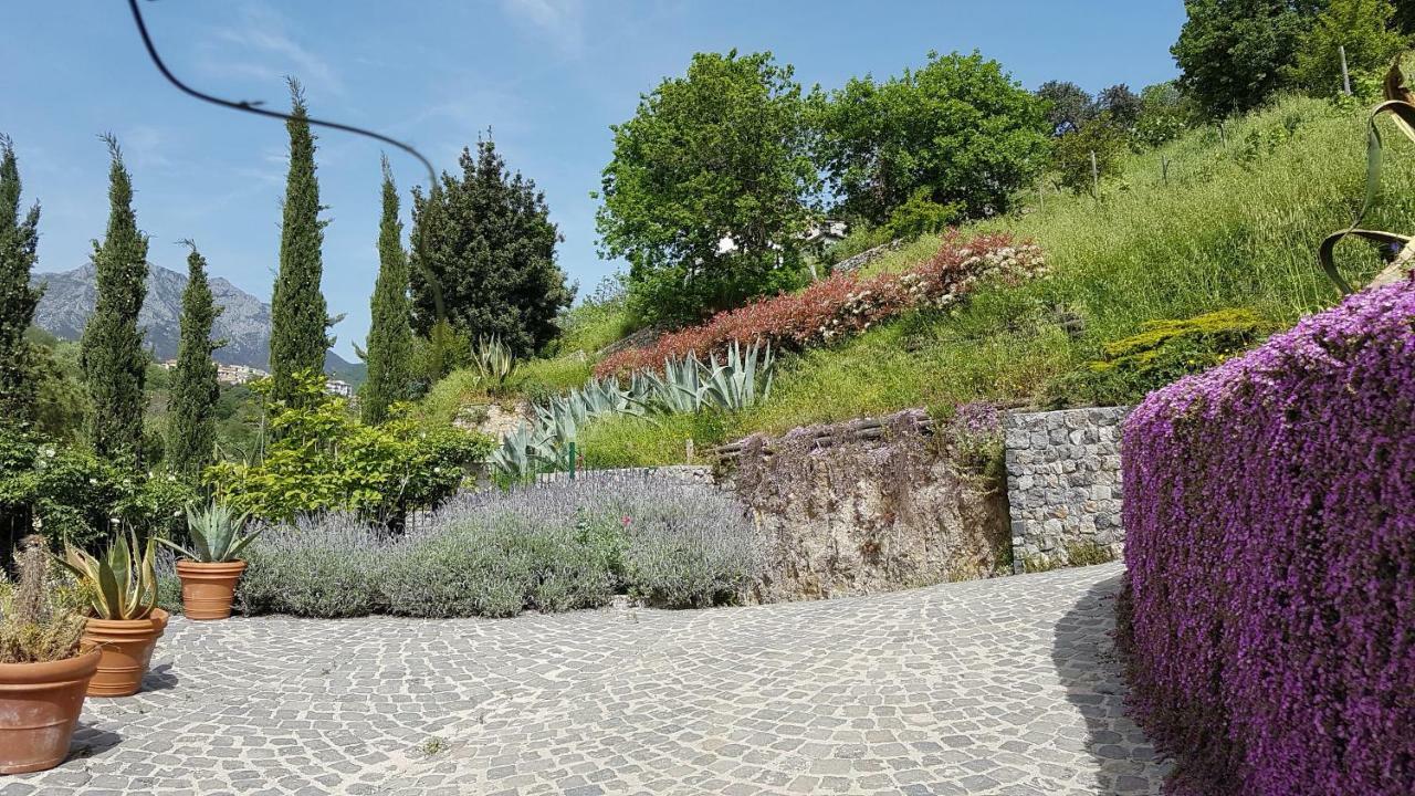 فيلا Ancient Estate "Il Trignano" Vietri المظهر الخارجي الصورة