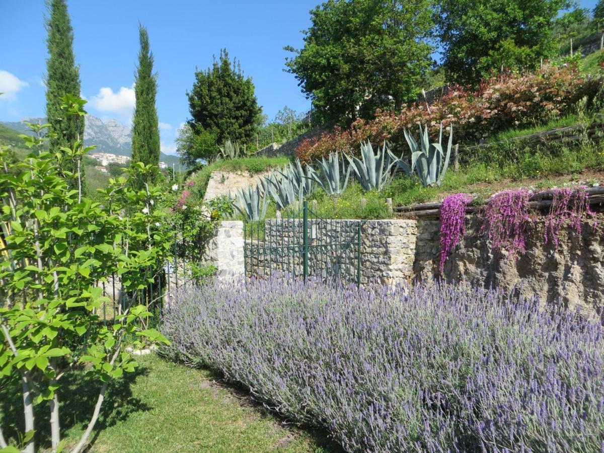 فيلا Ancient Estate "Il Trignano" Vietri المظهر الخارجي الصورة